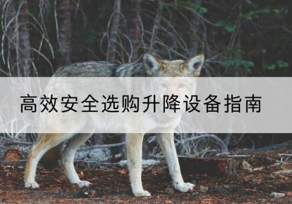 铜官升降货梯厂家推荐-*安全选购升降设备指南