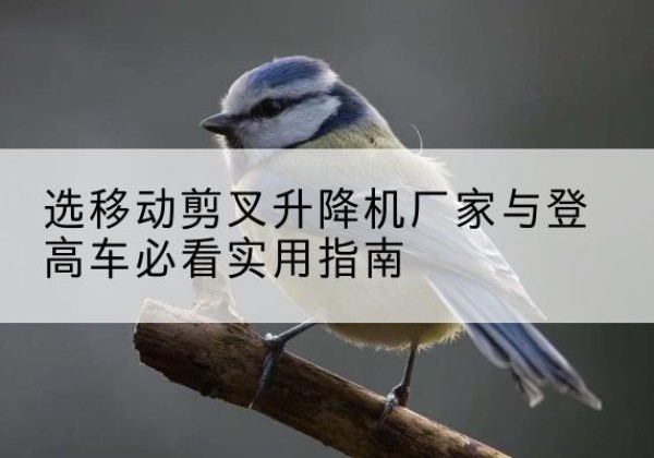 铜官电动升降机厂家-选移动剪叉升降机厂家与登高车必看实用指南